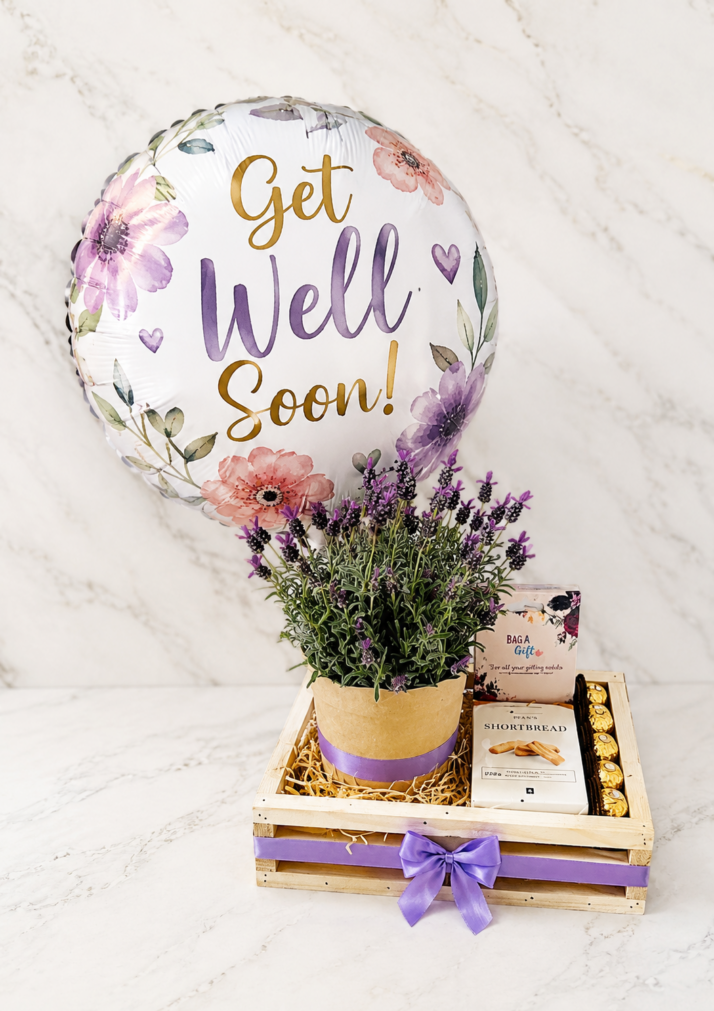 Get Well Soon Lavender Plant Hamper
