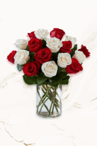 Mixed Colour Rose Vase - 12 Roses