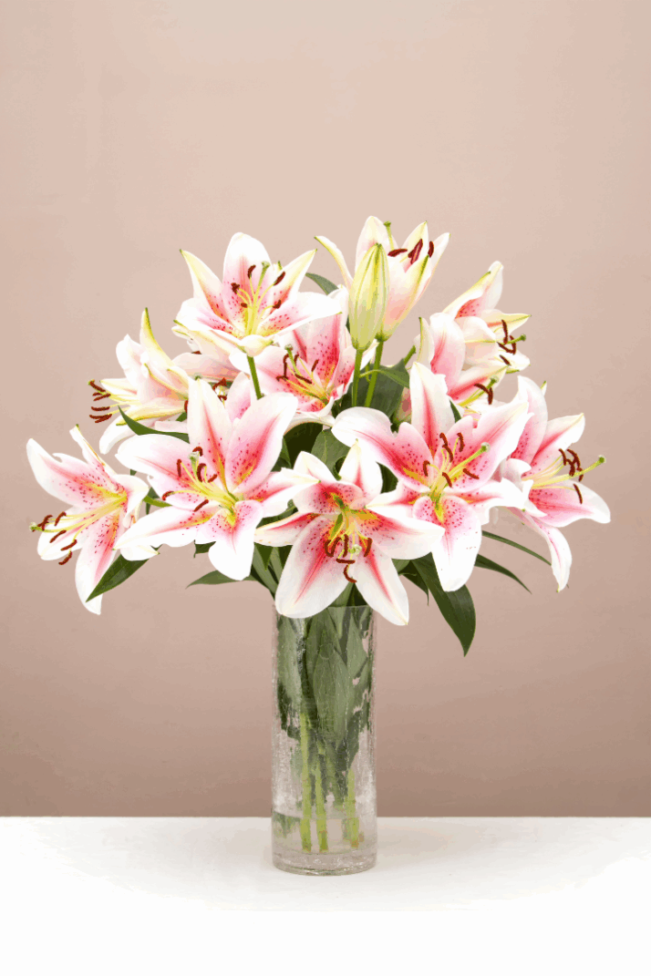 Stargazer lillies in vase