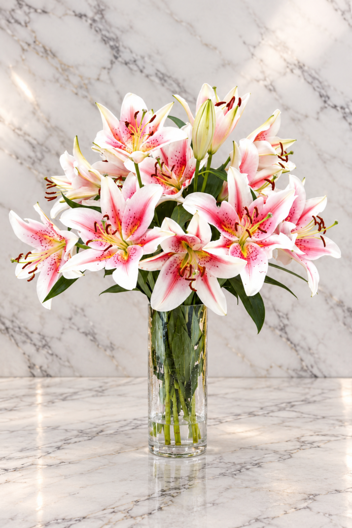 Stargazer lillies in vase