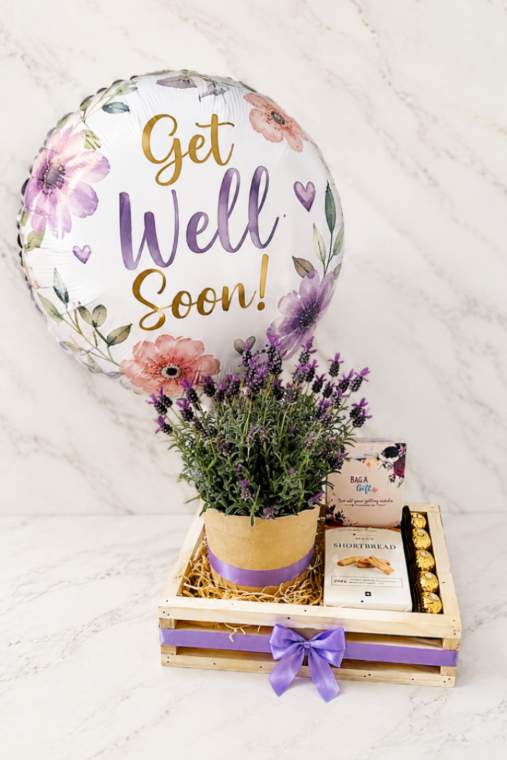 Get Well Soon Lavender Plant Hamper